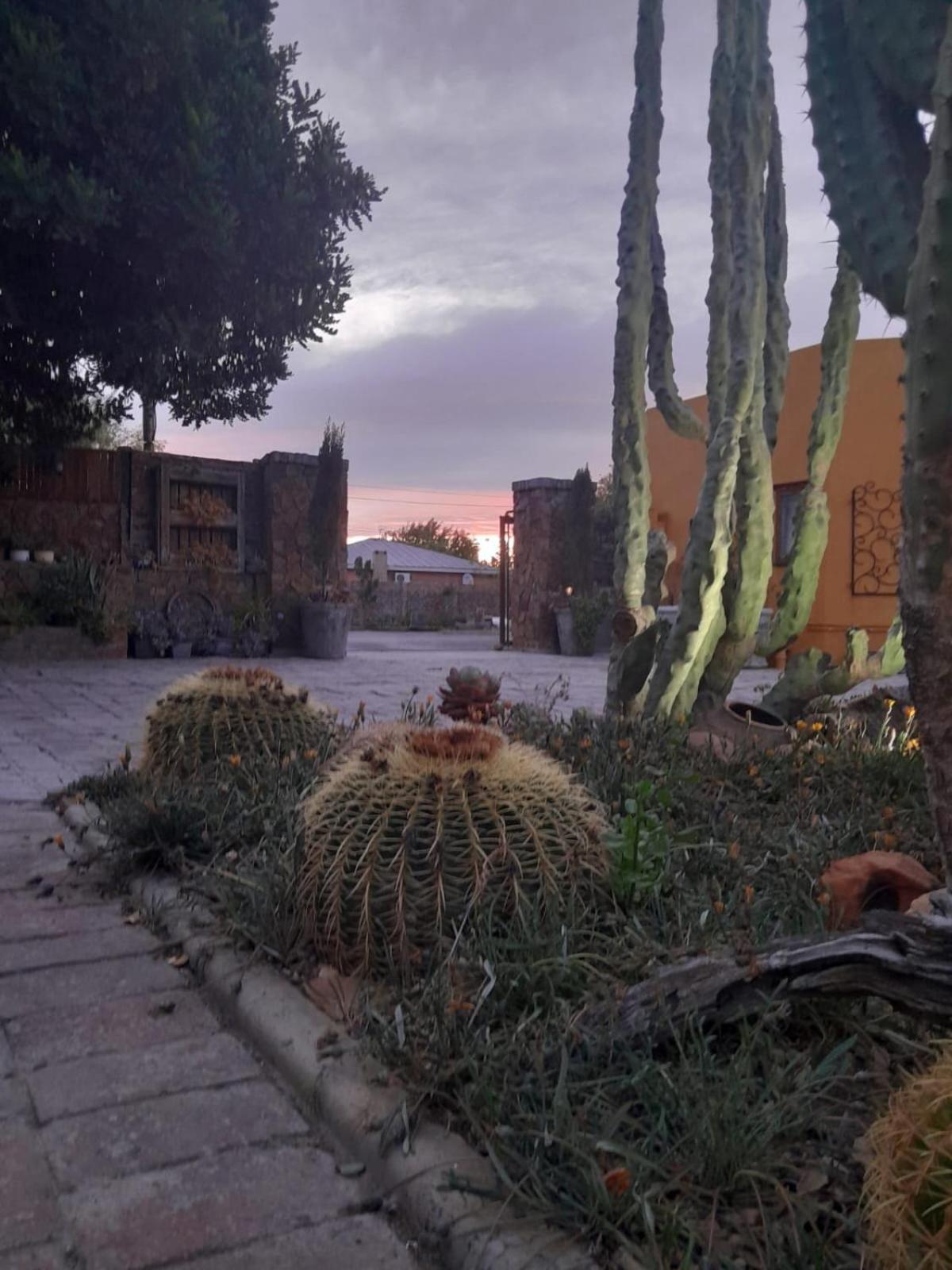 Villa Contessa Beaufort West Dış mekan fotoğraf
